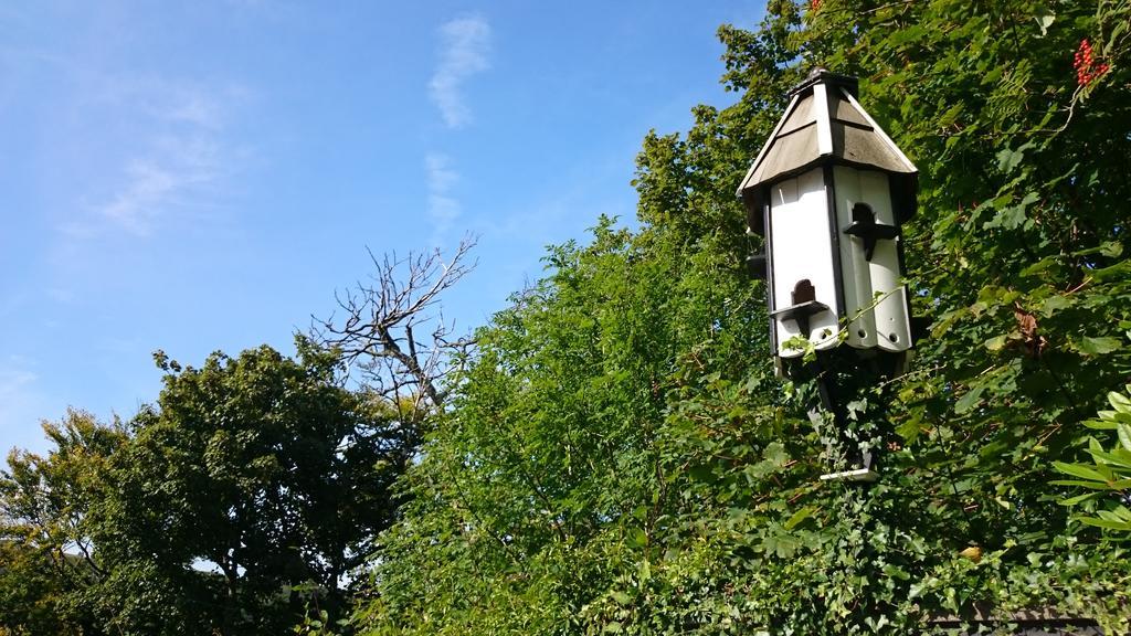 Elderslie Guest House 오반 외부 사진